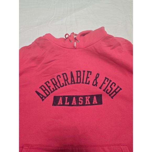 Abercrombie & Fitch Alaska Hoodie Sweatshirt Pink Champion Athletic XXL /0271 - Picture 2 of 4